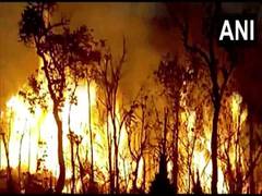 
      
      Andhra Pradesh: Fire breaks out in forest region of Tirumala
      
      