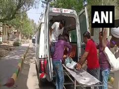 
      
      11 dead in road accident in Rajasthan
      
      