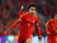 
      
      Johnson's late goal earns Wales dramatic draw against Belgium
      
      