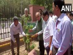 
      
      Election Commissioner plants saplings on World Environment Day
      
      