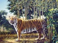 
      
      If you see just one tiger, look harder!
      
      