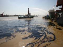
    More than 90 per cent of oil slicks occur due to humans: Study
    