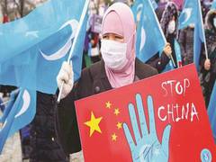 
      
      US ban on imports from Xinjiang disrupts China's supply chain
      
      
