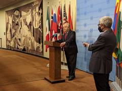 
      
      UN chief hails resumption of Ukraine grain exports via Black Sea
      
      