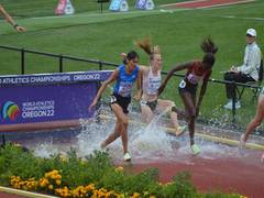 
      
      World Athletics C'ship 2022: Parul finishes 12th in 3000m event
      
      