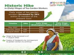 
      
      Assam raises daily wage for tea workers
      
      