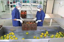 
      
      FarmLink receives a rare ISO certification
      
      