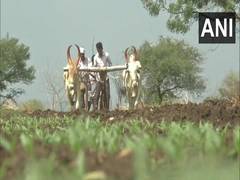 
      
      Farmers start sowing Kharif crops in Kalaburagi 
      
      