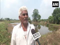 
      
       Flooding damages crops in Nagpur, impact farmers 
      
      
