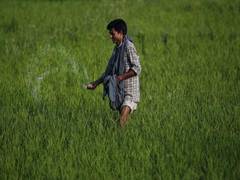 
      
      Telangana govt to procure produce of farmers 
      
      