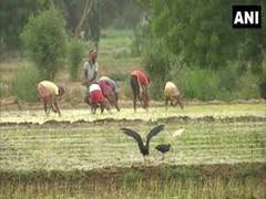 
      
      Farmer attempts suicide over land dispute in Dokulapadu village
      
      
