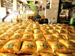 
      
      Centre's fertiliser subsidy likely to go up to Rs 2.5 lakh crore 
      
      
