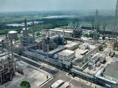 
      
      Government reviving five fertiliser plants to reduce urea imports
      
      