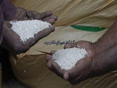 
      
      Pakistan: Urea crisis continues to loom over agri sector
      
      