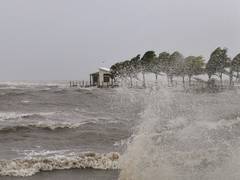 
      
      Fijian govt takes swift action to help cyclone-affected farmers
      
      