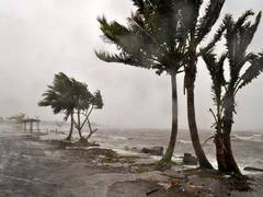 
      
      1 dead, 5 missing in Fiji due to tropical cyclone Ana
      
      
