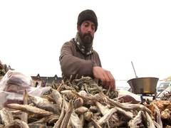 
      
      Kashmir sees increased demand for traditional dry fish...
      
      