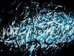 
      
      Pakistan's fish export hit by Chinese ban after coronavirus...
      
      