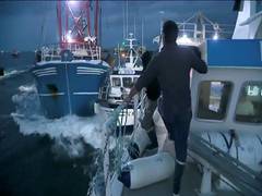 
      
      UK-France fishing row talks set to resume 'early next week'
      
      