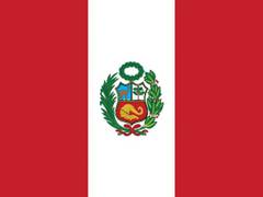 
    Peru's new prime minister under investigation for money laundering, says report
    