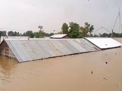 
      
      Over 55 lakh people affected, 102 dead due to Assam floods
      
      