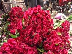 
      
      COVID-19 impact: Flower business hits roadblock with no...
      
      