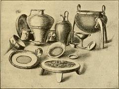 
      
      Humans cooked, ate starchy plant tubers 120,000 years ago: Study
      
      