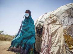 
      
      Acute food insecurity soars to five-year high: UN report
      
      