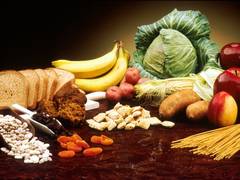 
      
      Study reveals dietary interventions may slow onset of...
      
      