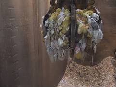 
      
      Japanese company JFE Engineering develops autonomous garbage...
      
      