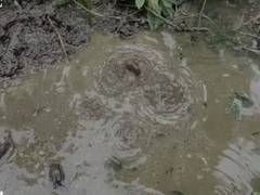 
      
      ONGC repairs minor leakage at Andhra's East Godavari plant
      
      