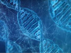 
      
      Genetic differences can affect ability to utilize energy of...
      
      
