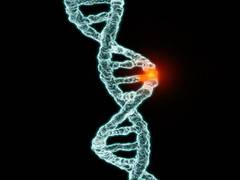 
      
      UK minister says gene editing laws to be relaxed for...
      
      