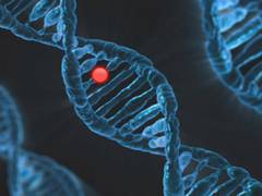 
      
      Study links area-level income, education with cancer diagnosis
      
      