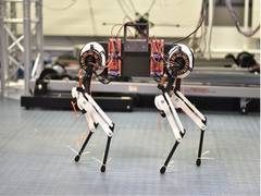 
      
      Research finds robotic dog learns to walk in an hour
      
      
