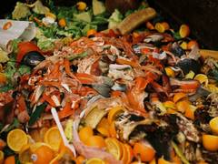 
      
      Diversification of tourism industry results in food waste as...
      
      