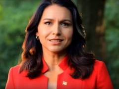 
      
      Tulsi Gabbard welcomes PM Modi to US, says 'sorry' for not...
      
      