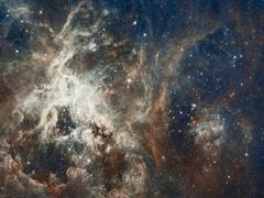 
      
      New catalogue of stars reveals chemical history of Milky Way,...
      
      
