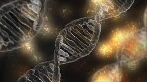 
      
      Genetic metabolic disorder linked with DNA mutation, claims study
      
      