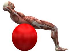 
    Researchers find link between genes and ability to exercise 
    