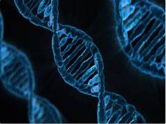
      
      Study focuses on a gene that could decrease likelihood of...
      
      