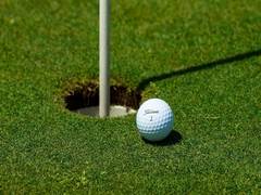 
      
      2020 Indian Open golf tournament cancelled due to COVID-19...
      
      