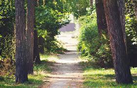 
    Surroundings have an impact on human well-being
    