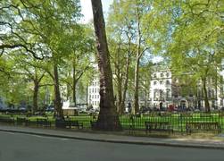 
      
      Green spaces can help people trust strangers: Study
      
      