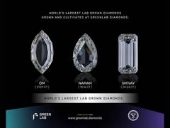 
      
      Greenlab: A diamond among diamonds
      
      