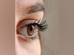 
      
      Study finds gene therapy can restore vision after stroke
      
      