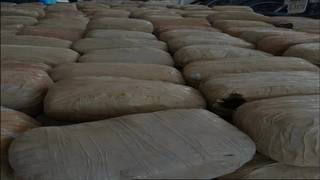 
      
      Cannabis worth around Rs 1.6 crore seized in Hyderabad, 3 arrested
      
      
