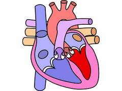 
      
      Heart abnormalities from premature birth can be corrected...
      
      
