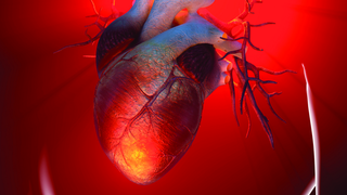 
      
      Serum from lupus patients affects enzyme responsible for...
      
      