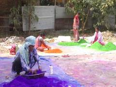 
      
      Herbal colours for Holi in greater demand than synthetic ones
      
      